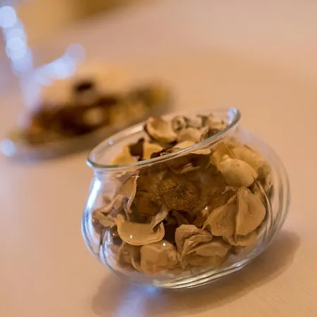 Palazzetto Апартаменти Сієна